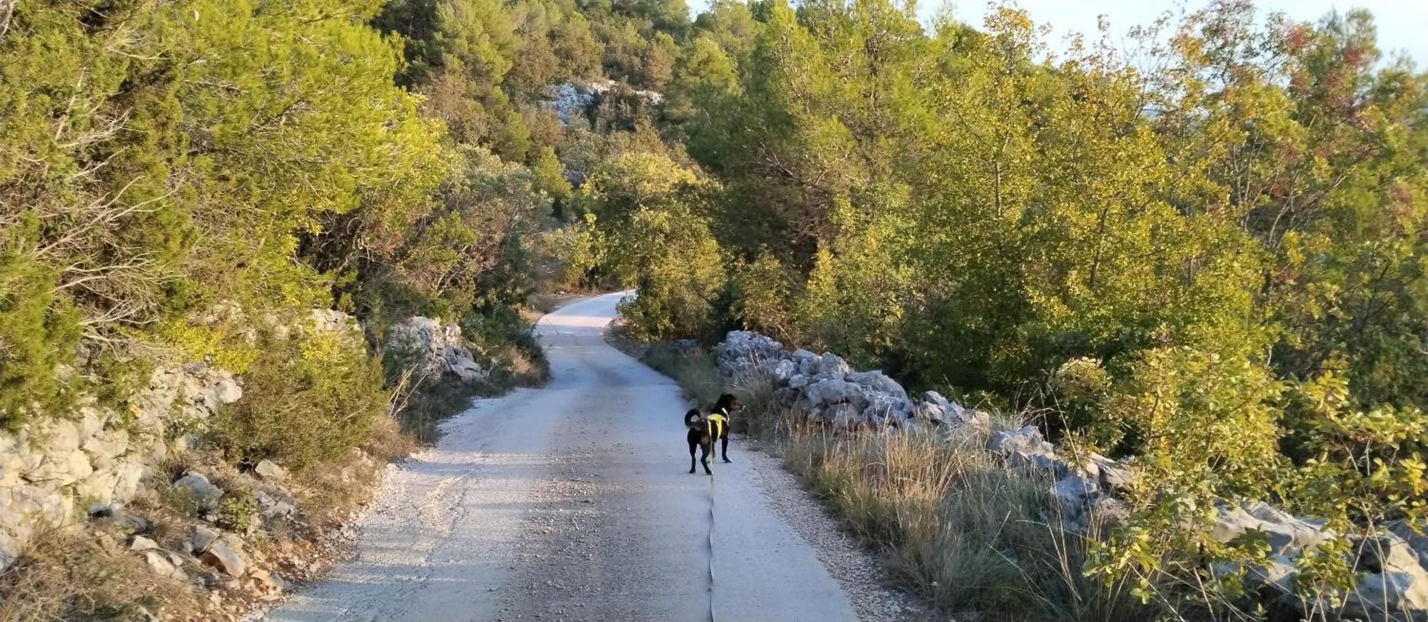 Kuca Mali Raj - Little Paradise Šibenik Dış mekan fotoğraf