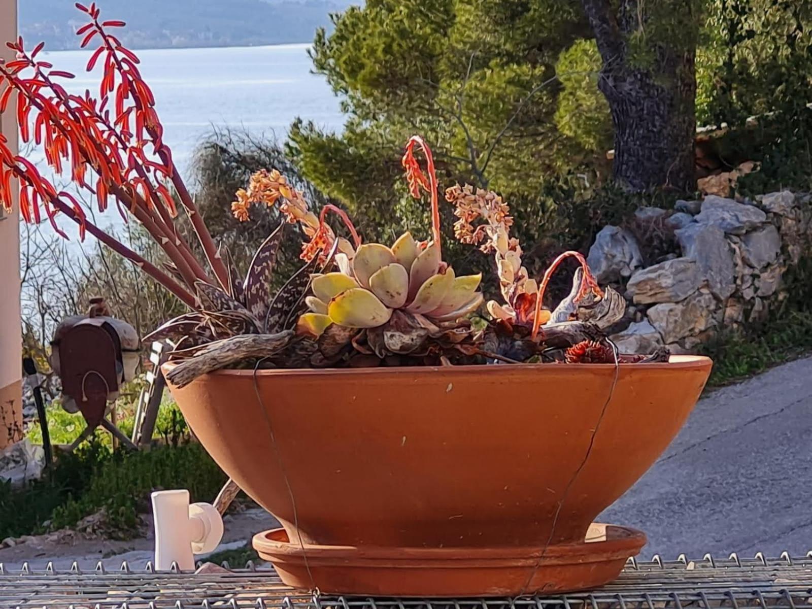 Kuca Mali Raj - Little Paradise Šibenik Dış mekan fotoğraf